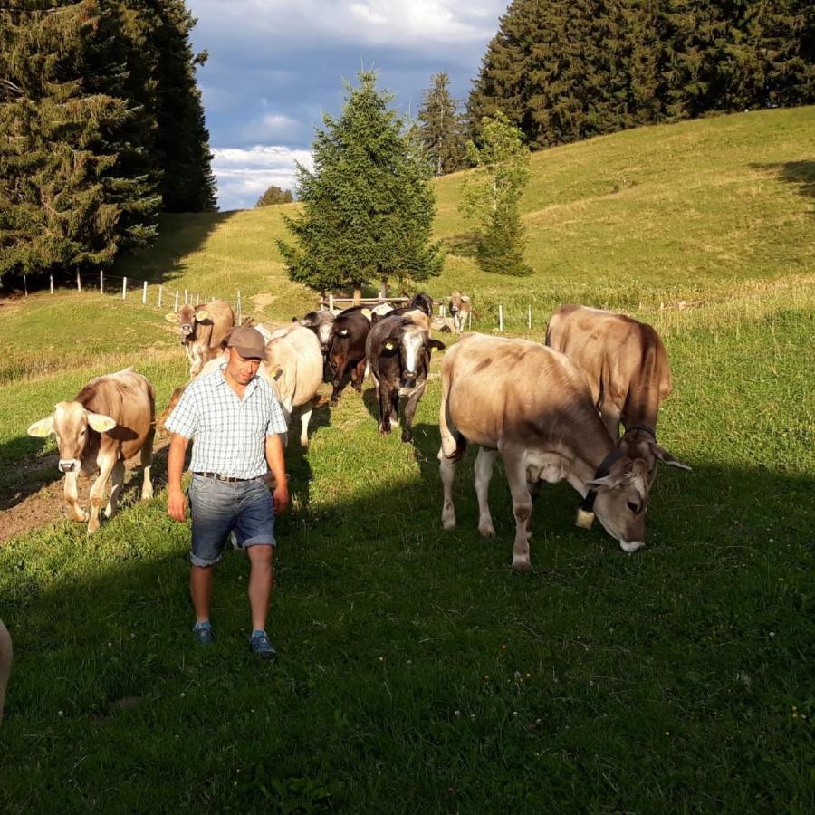 Andreashof Villa Heimenkirch Buitenkant foto